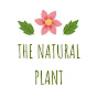 The Natural Plants