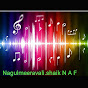 Nagulmeeravalishaik N A F