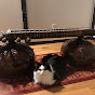 Dhrupad Love and Cats